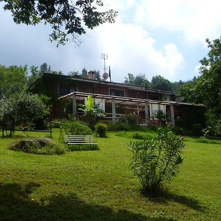 Fattoria Sequoia Bed & Breakfast Castagneto Po Eksteriør bilde