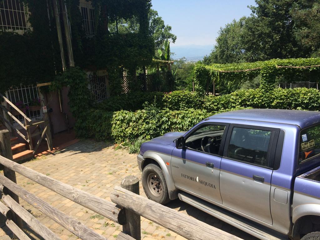Fattoria Sequoia Bed & Breakfast Castagneto Po Eksteriør bilde