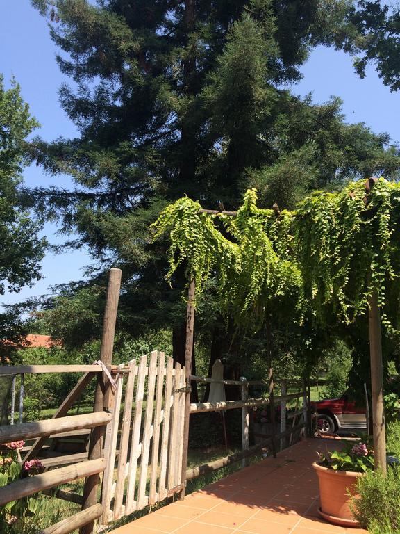 Fattoria Sequoia Bed & Breakfast Castagneto Po Rom bilde